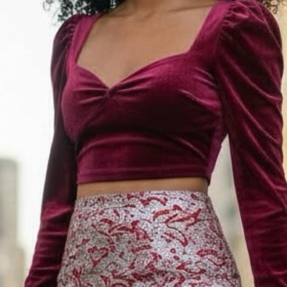 Cider Cropped Red Velvet Long Sleeve Top Stretch Size Large Corset